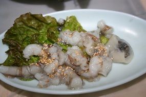 Octopus dish