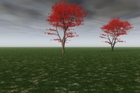 trees with red leaves in the field