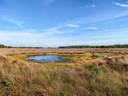 Landscape of Netherlands