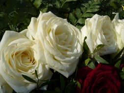 romantic bouquet with white roses