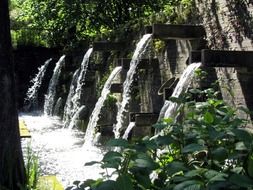 Water streams in the forest in Hamburg