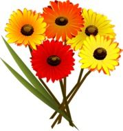 drawing of bouquet of flowers