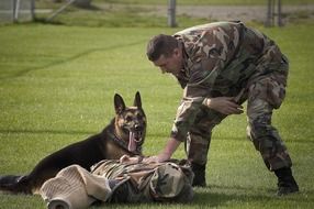 German shepard with the handler