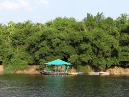 pier near the bamboo forest