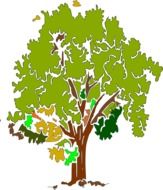 drawn tree in autumn