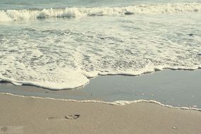 astounding sea wave