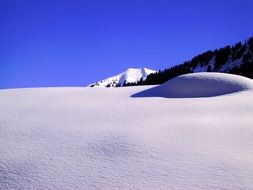 snow hill and forest at its top
