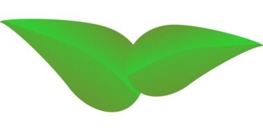 green leaf vector clip art