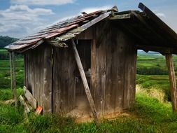 mountain hut in the vineyard