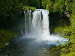 Beautiful Koos Falls among the colorful plants in Oregon, USA