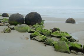 Boulders on the beach in New Zealand
