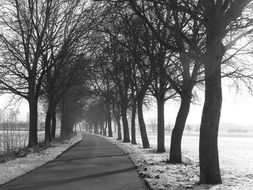 black and white picture of the wintry countryside