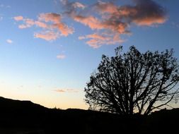 Landscape of wilderness