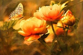 a butterfly on pink flowers