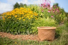 landscape of wicker basket in the garden