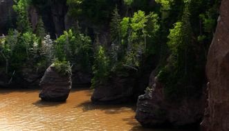 hopewell rocks bay