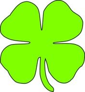 light green clover for luck