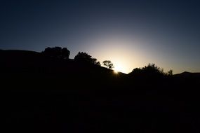 sunset backlight tree outlines