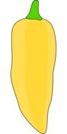isolated yellow paprika