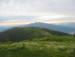 a hill covered with greenery in Slovakia