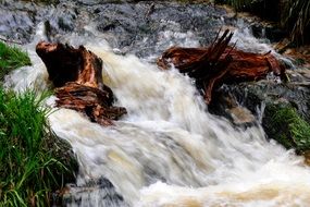 irresistible water wild flow