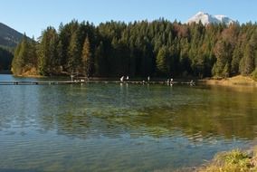 scenic forest lake in Austria