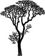 tree black silhouette drawing