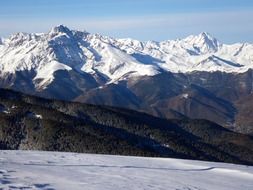 majestic snowy Pyrenees's