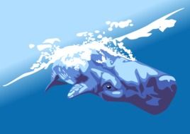 graphic image of a sperm whale in blue water