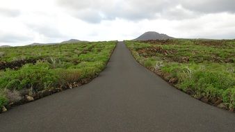 road among green fields in the canary islands