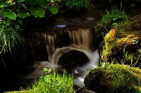 stream with a cascade in the forest