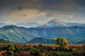 surprising beauty forest landscape
