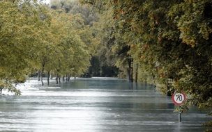 River on the road in the midst of green trees