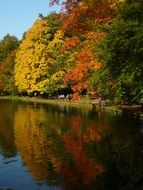 autumn trees with leaves of different colors near the lake