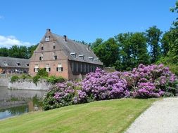 castle at the flowers