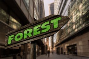 inscription "forest" as a street sign