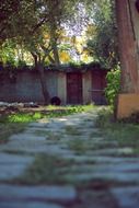 garden trail in the shade of trees