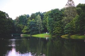 lake in park in summertime