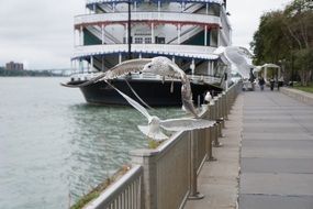 seagulls on fence near cruise ship