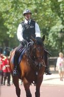 london policeman riding horse portrait