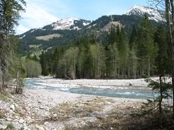 River in the forest on the background of mountain scenery