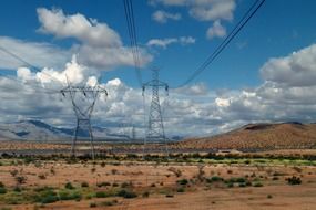 power poles on a field with green plants in arizona