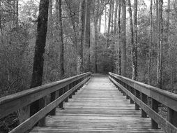 pathway bridge