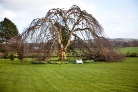 landscape of countryside in Ireland