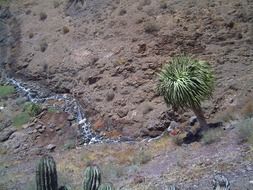 panoramic view of the valley in fuerteventura