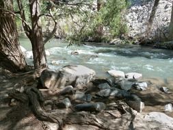 Beautiful mountain stream among the trees and rocks