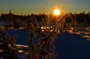 norrbotten norrland winter sun