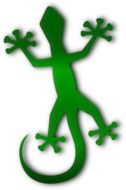 gecko animal as a drawing