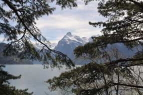 mountains with snowy top behind tree branches