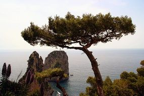 beautiful coast of Capri island, Italy